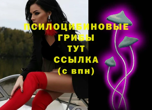 гашиш Абаза