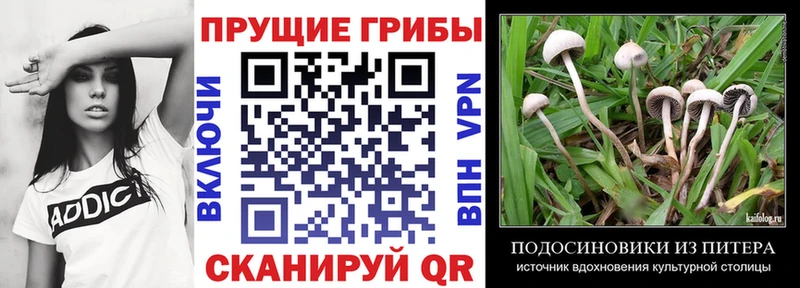 Галлюциногенные грибы мицелий  Александровск 